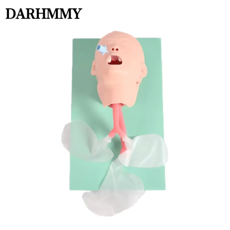

DARHMMY Child Trachea Intubation Training Model，Medical Teaching Model