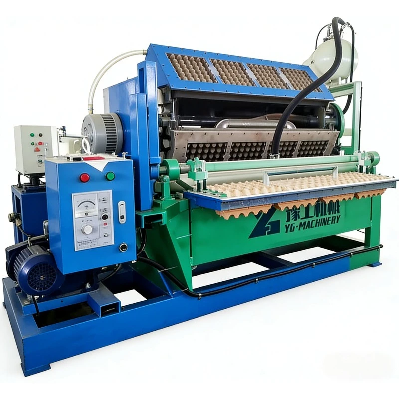 Egg Tray Forming Machine Automatic Quail Egg Tray Machine Pulp Molding Equipment for Small Egg Packaging