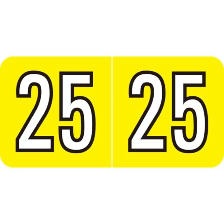 

2025 Year Stickers 500 Pcs Rectangle Color Coded Labels 3/4 x 1-1/2 Self Adhesive File Folder Year Stickers