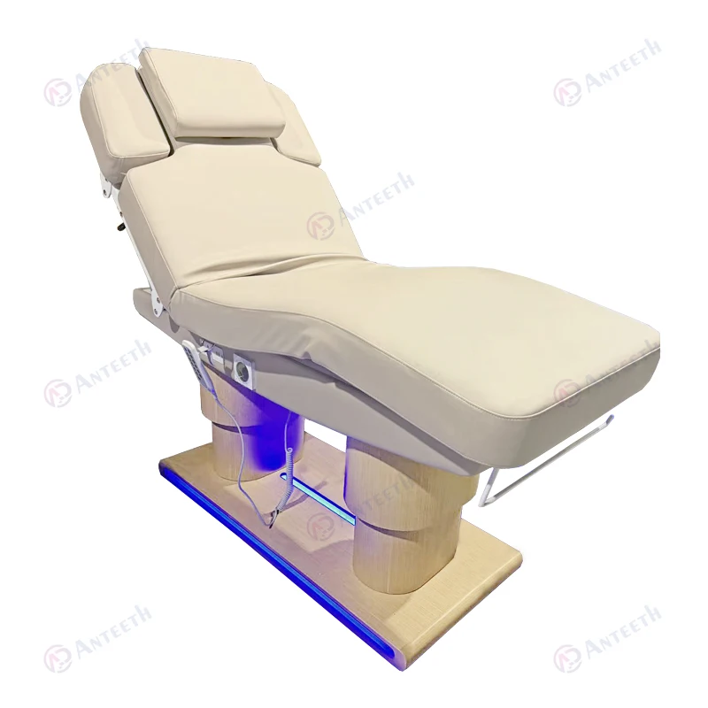 Cosmetic Electric Beauty Treatment Massage Table Wood Grain Base Exam Salon Massage Bed Double Column Hot Sale Massage Chair