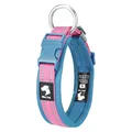 Pink Blue Colloar