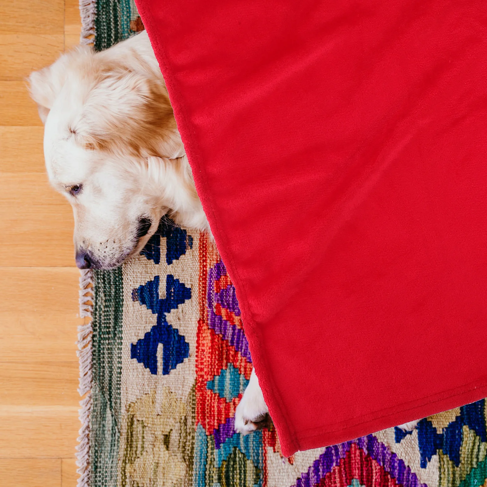 بلون الأحمر الفانيلا الصوف بطانية حيوانات أليفة سوبر مريح خفيفة الوزن اضافية الدافئة مثالية للاستخدام الدائري الفانيلا بطانية حيوانات أليفة #1