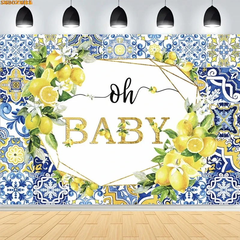 الأزرق سيراميك الليمون خلفيات للتصوير الفوتوغرافي الدعائم استحمام الطفل حفلة عيد ميلاد العروس الزفاف استوديو الصور خلفية OB-01