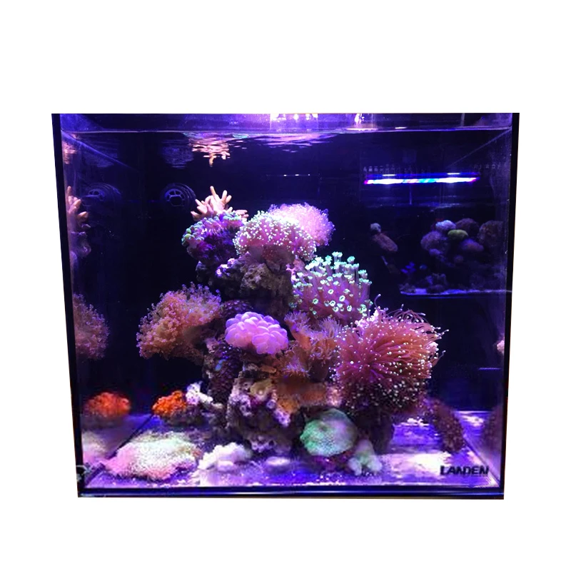 

Back filter sea tank 35 square 45 60 equipment package novice fish coral sleeve bass gold crystal ultra white