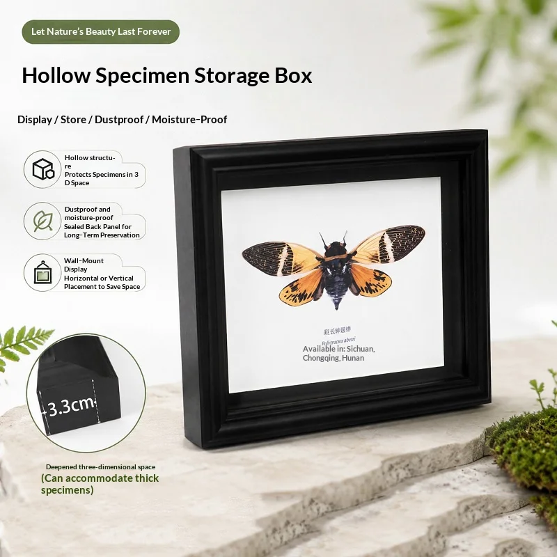 Hollow 3D Shadow Box Frame, Dustproof Specimen Display Case for Butterfly Insect, Wall & Tabletop Multi Size Photo Frame