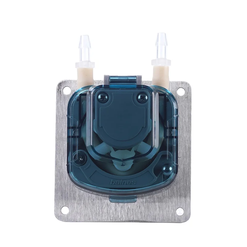 BP300 AC Motor Lab Medical Equipment Peristaltic Pump 110-220V, Fixed Speed Small Pump for Environmental Detection Use