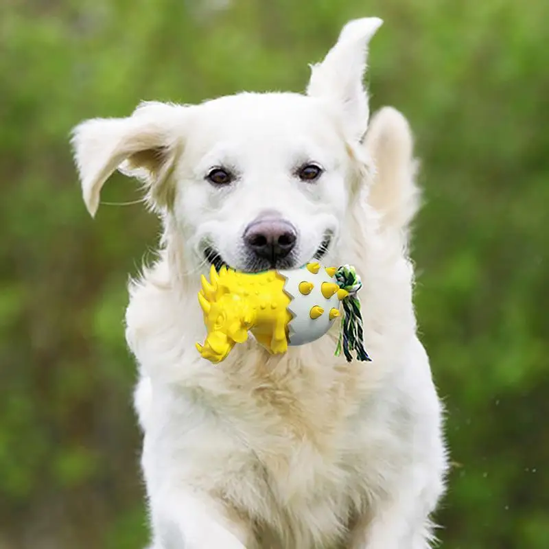 Puppy Teething Toys Teething Puppy Chew Toys Puppy Teether Dog Teeth Cleaning Toys Dog Bone Toy For Teething Teeth Cleaning