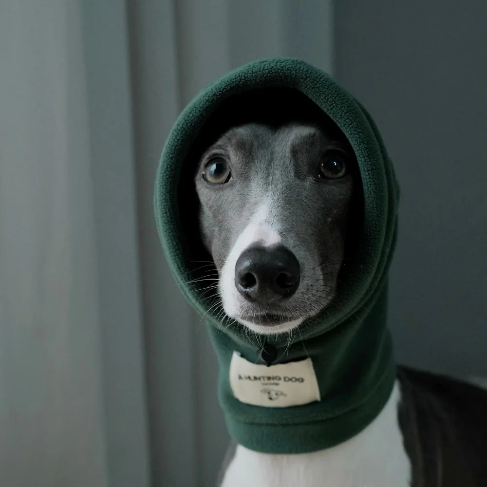 Warm Soft High-neck Fleece Green Grey Hat only for Italy Greyhound Winter Fashion Adjustable Beige Black Velvet Scarf for Dogs