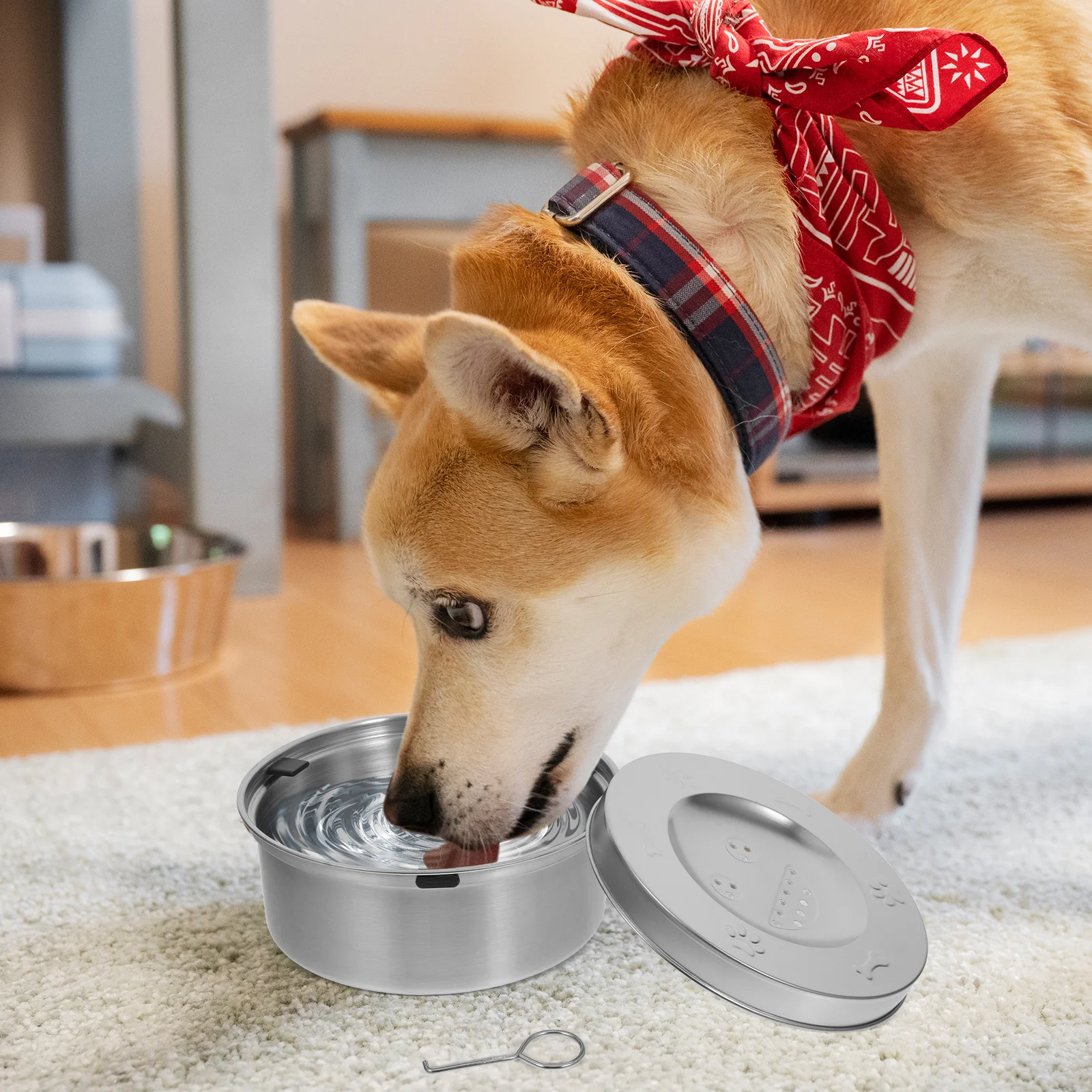 

Stainless Steel Slow Feeder Dog Water Bowl No Spill of All Sizes Splash Proof Pet Hydration Solution