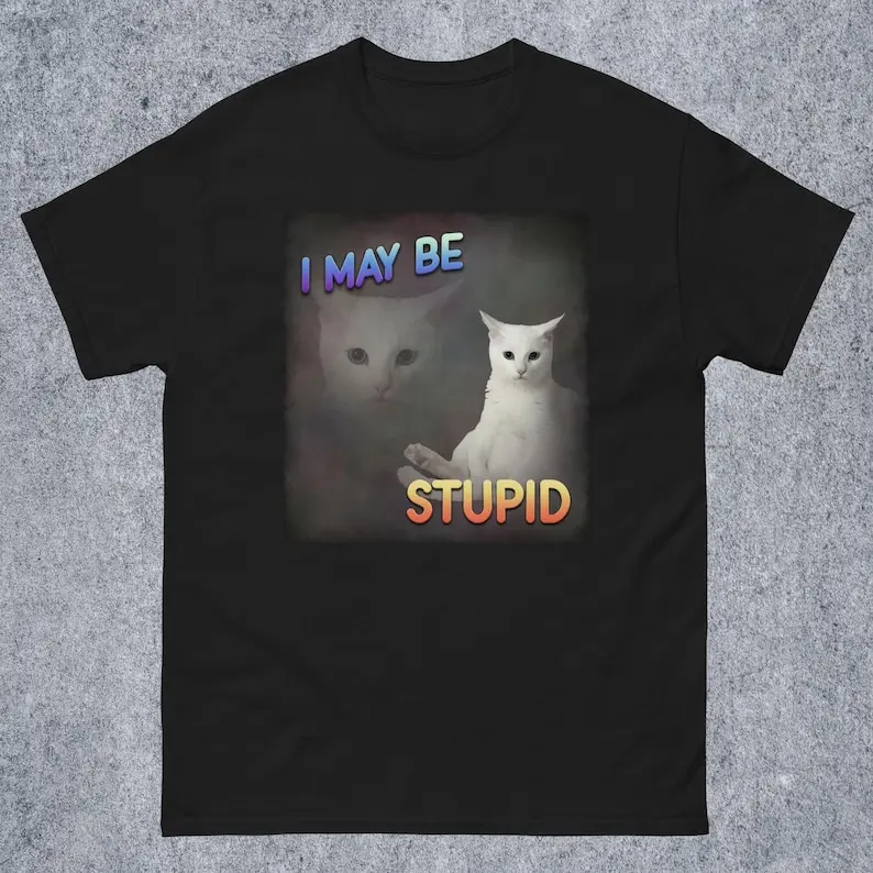 I may be Stupid Funny Cat Meme Tee Shirt Gift, Unhinged T-shirt, Oddly Specific, Inappropriate Tees, 90s Retro Tshirt Gift
