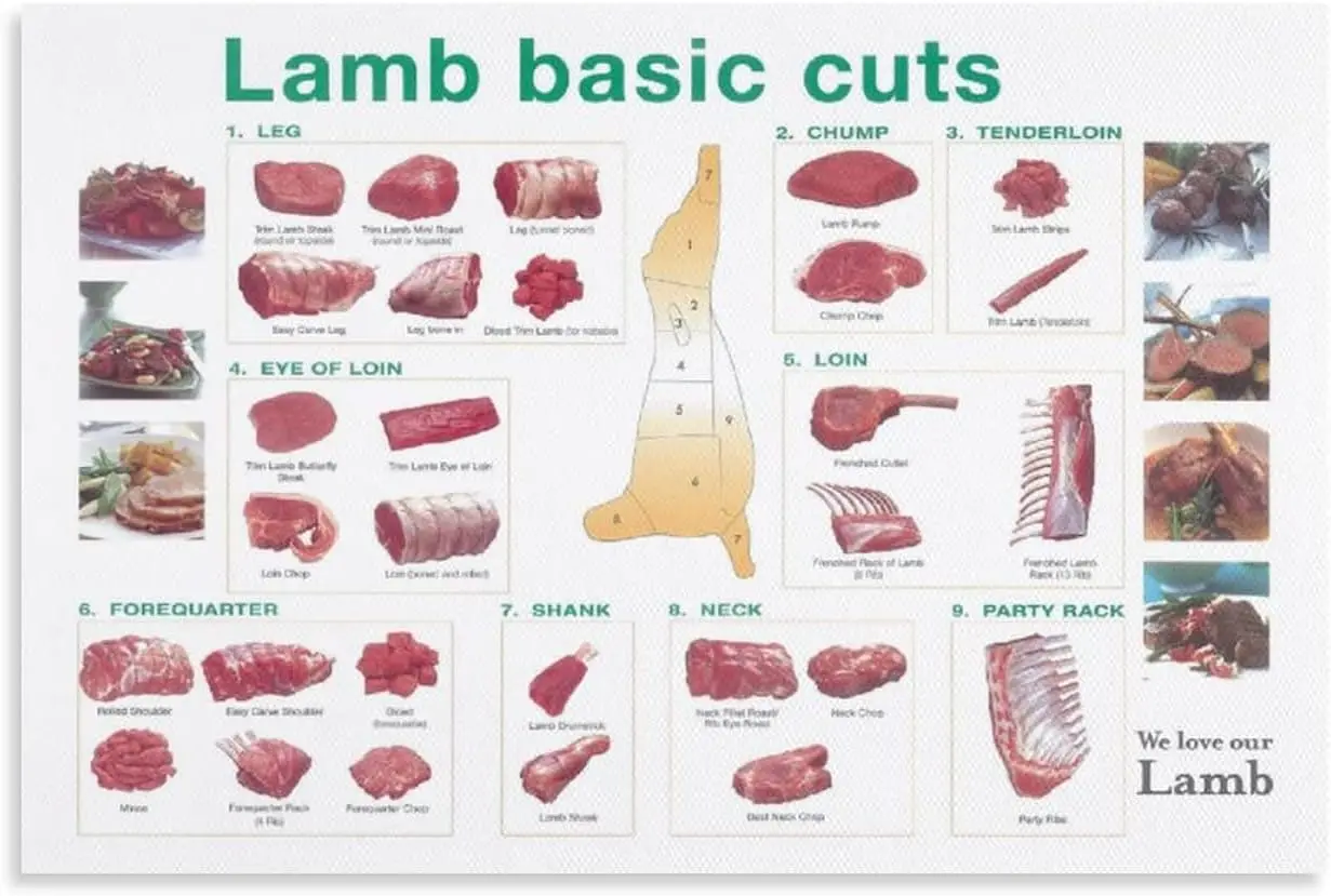 JIUFOTK Lamb Basic Cuts Metal Tin Signs Chef Knowledge Posters Cooking Kitchen Science Wall Decor Home Farmhouse Butcher Room Pl