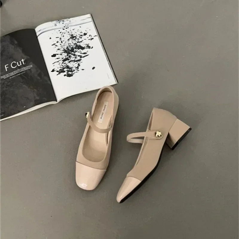 

2025 Thick Heel Mary Jane Single Shoes Women's New Spring French Mid Heel Evening Black Square Head Small Leather Shoes
