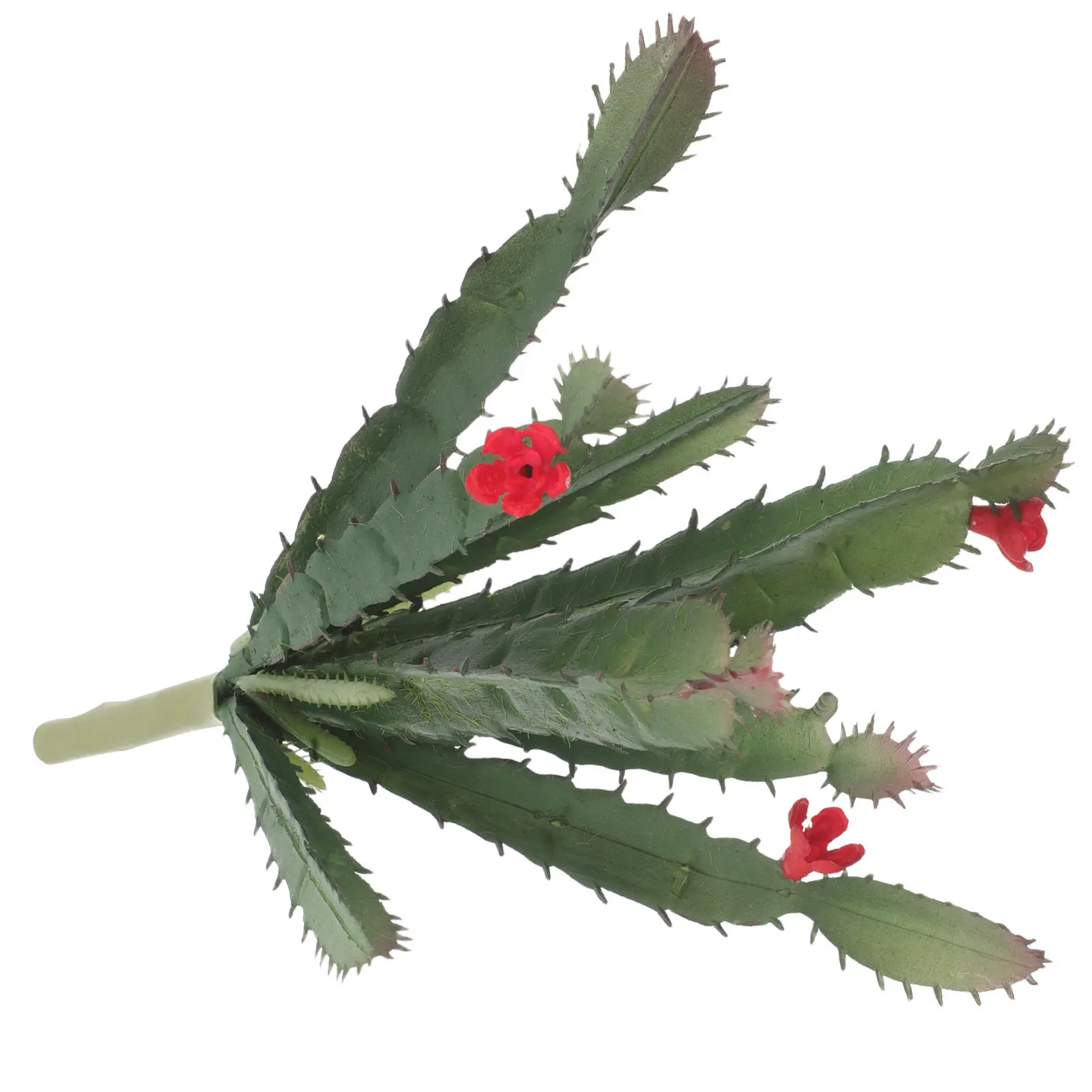 Mini Kunstmatige Vetplant Cact - Succulent Arrangement Mini recensie en prijs