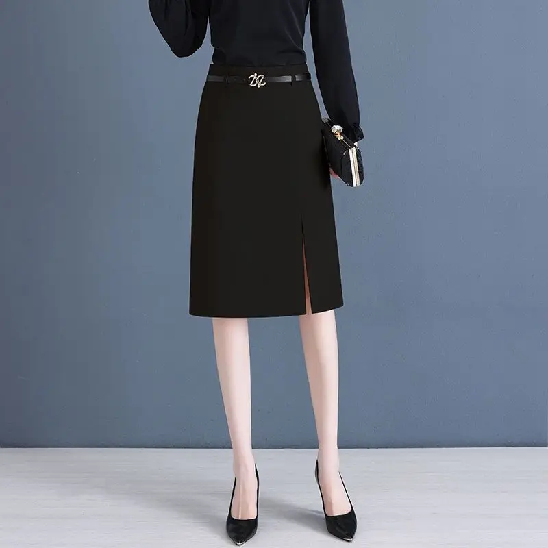 Falda acampanada para mujer en primavera y verano, nueva falda profesional de cintura alta con paquete de cadera, falda de un solo paso con temperamento de longitud media