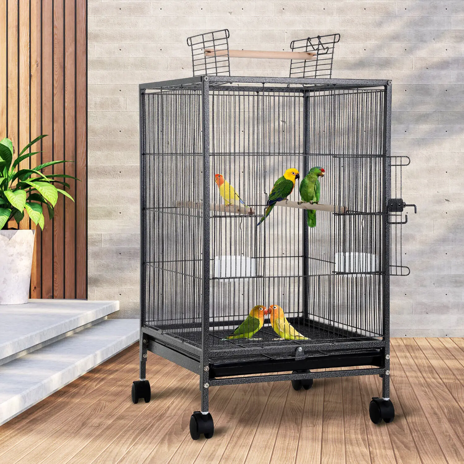 US Wrought Iron Bird Cage with Open Top and Rolling Stand, Small Birds Like Parrots Conure, Lovebird Cockatiel, US 35 