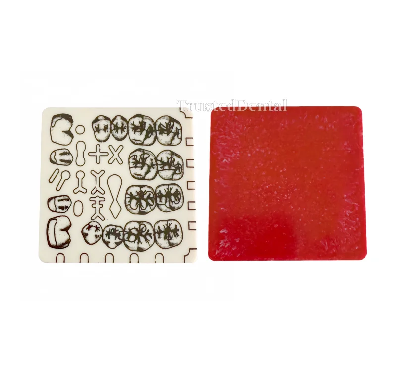 

Dental Pre-formed Cavity Hole Dentist Student Test Model Practise Composite Resin Filling Teeth