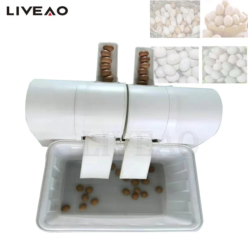 Automatic Roller Brush Type Duck Egg Washer Plastic Body Goose Egg Cleaning Machine