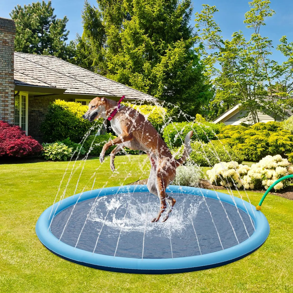 Refreshing Dog Sprinkler Pad Summer Play Cooling Mat Swimming Pool Outdoor Interactive Fountain Splash Sprinkler Pad for Dog Toy