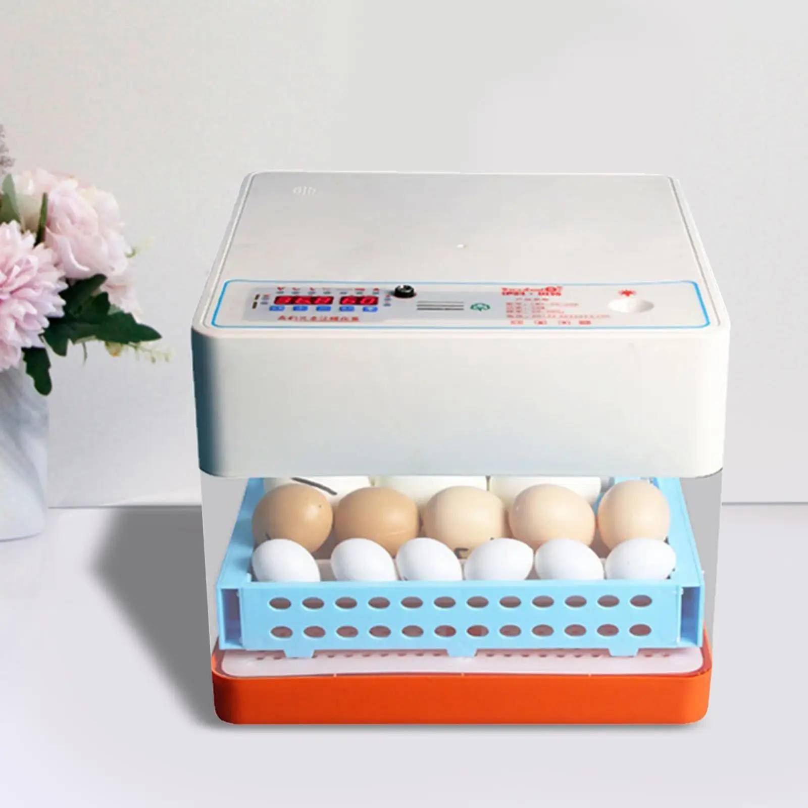 

Automatic Digital Egg Incubator Temperature Control Eggs Hatching Machine for Chicken