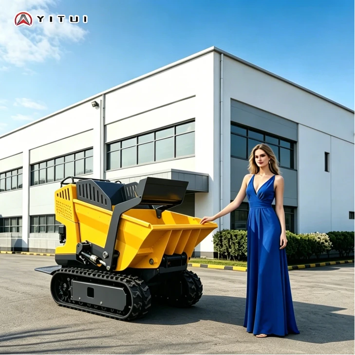 

Customized Mini Dumper Idraulico Tracked Vehicle CE Certified for Construction, Mining, Farm and Garden