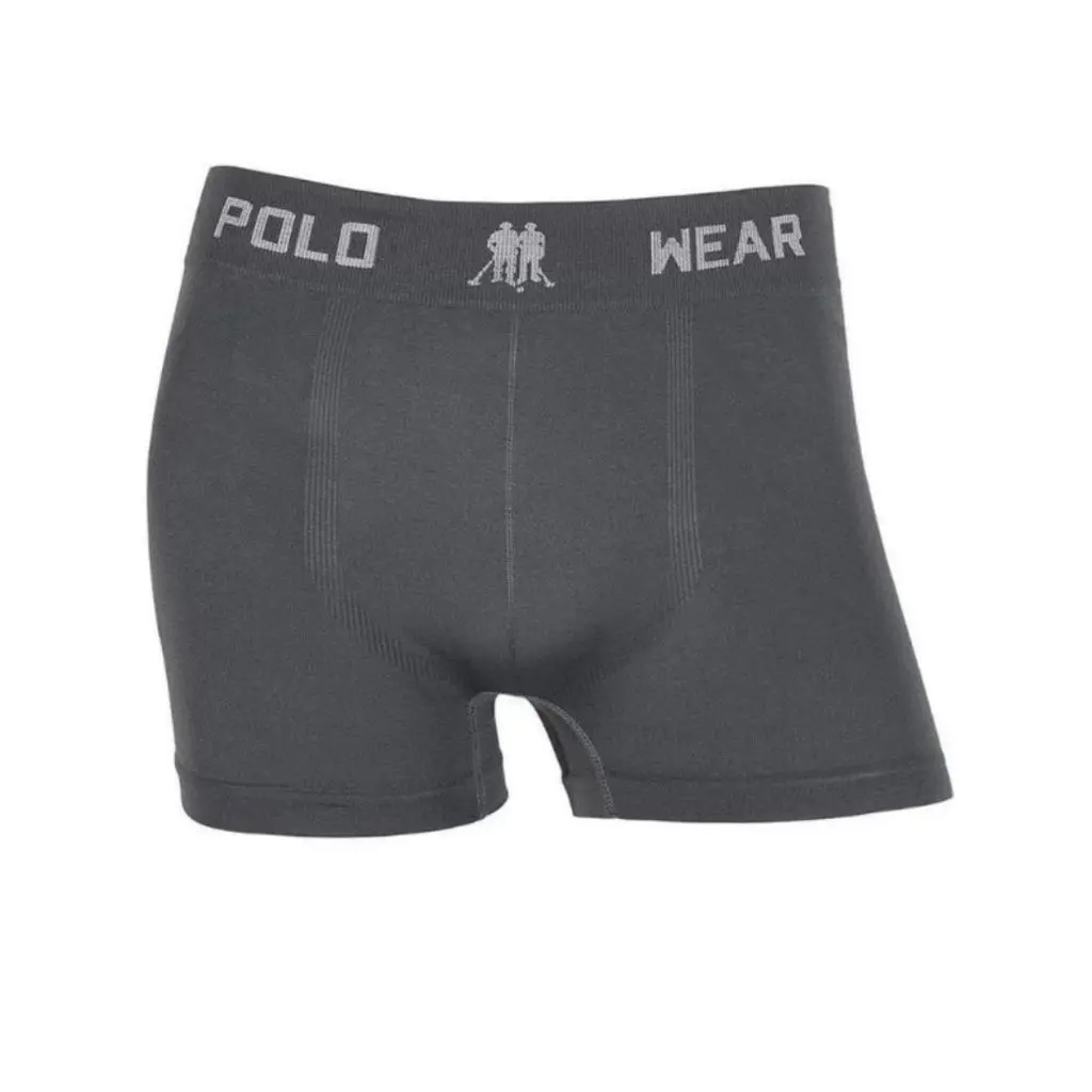 Kit 4 Cueca Boxer Masculino Polo Wear Microfibra Original