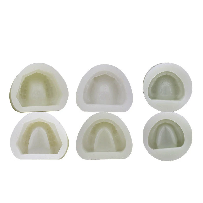 Dental Lab Split Silicone Negative Mold Full Standard Dentate Jaw Mould for Making Gypsum Teeth Study Models