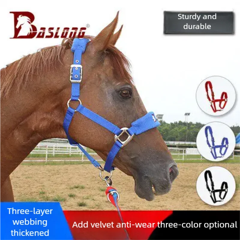 

Комплект: цветной недоуздок Baslong с поводком, регулируемый, удобный, прочный, для лошадей, конная амуниция, конное снаряжение