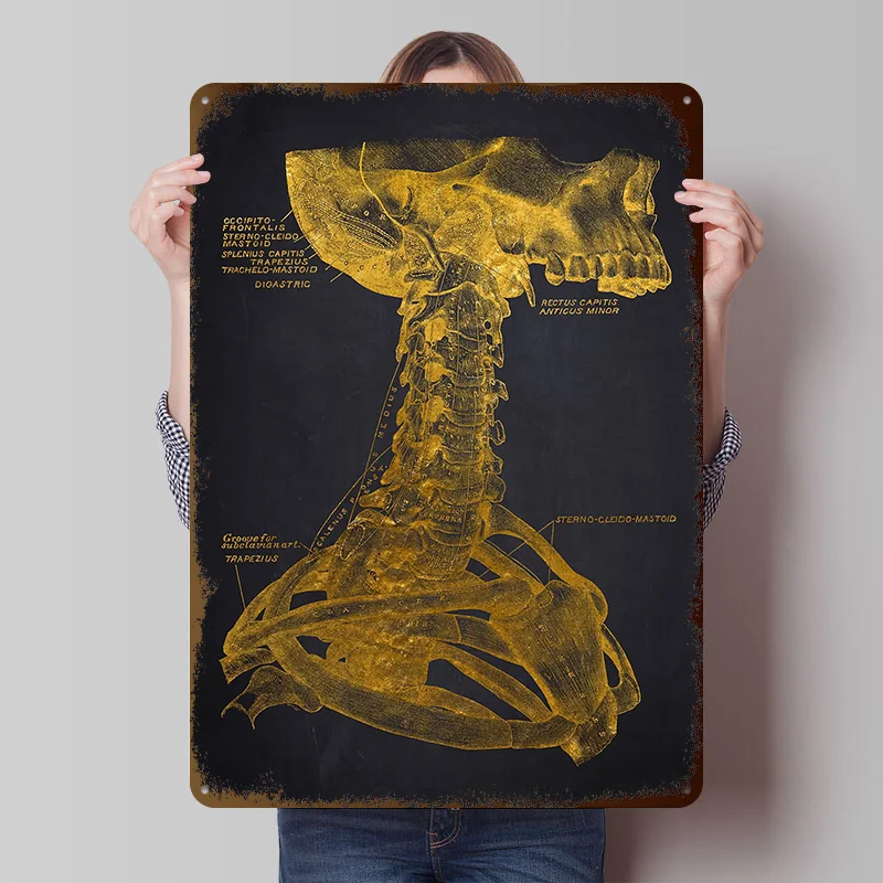 Gold Anatomical Neck Illustration Tinplate Posters Customizable Wall Art Retro Vintage Metal Signs for Home Room Bathroom Decor