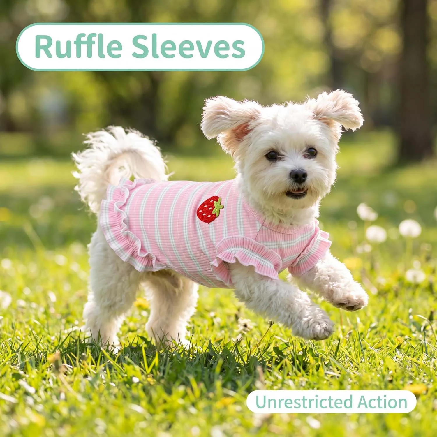 Erdbeer-Besticktes Gestreiftes Hundekleid mit Rüschensaum Niedliche Haustier-Weste für Kleine Hunde und Katzen – Detail 3