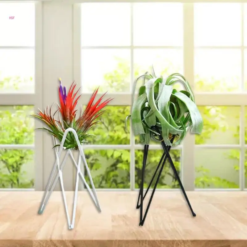 Suporte para planta ar Suporte para vaso flores metal Geométrico Ferro Tillandsia Display Art