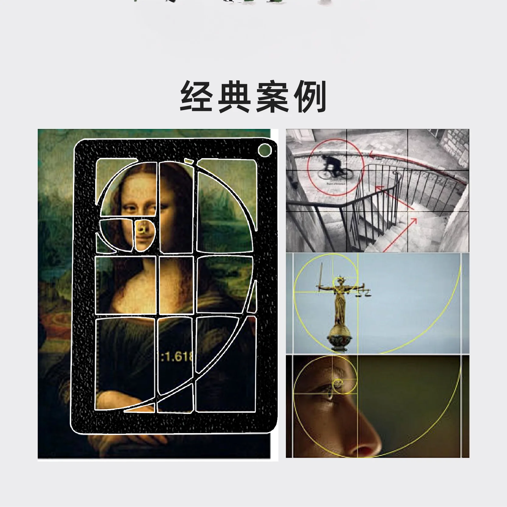 مدرب التصميم، التصوير الفوتوغر - مراجعة Photography Golden Ratio وسعره
