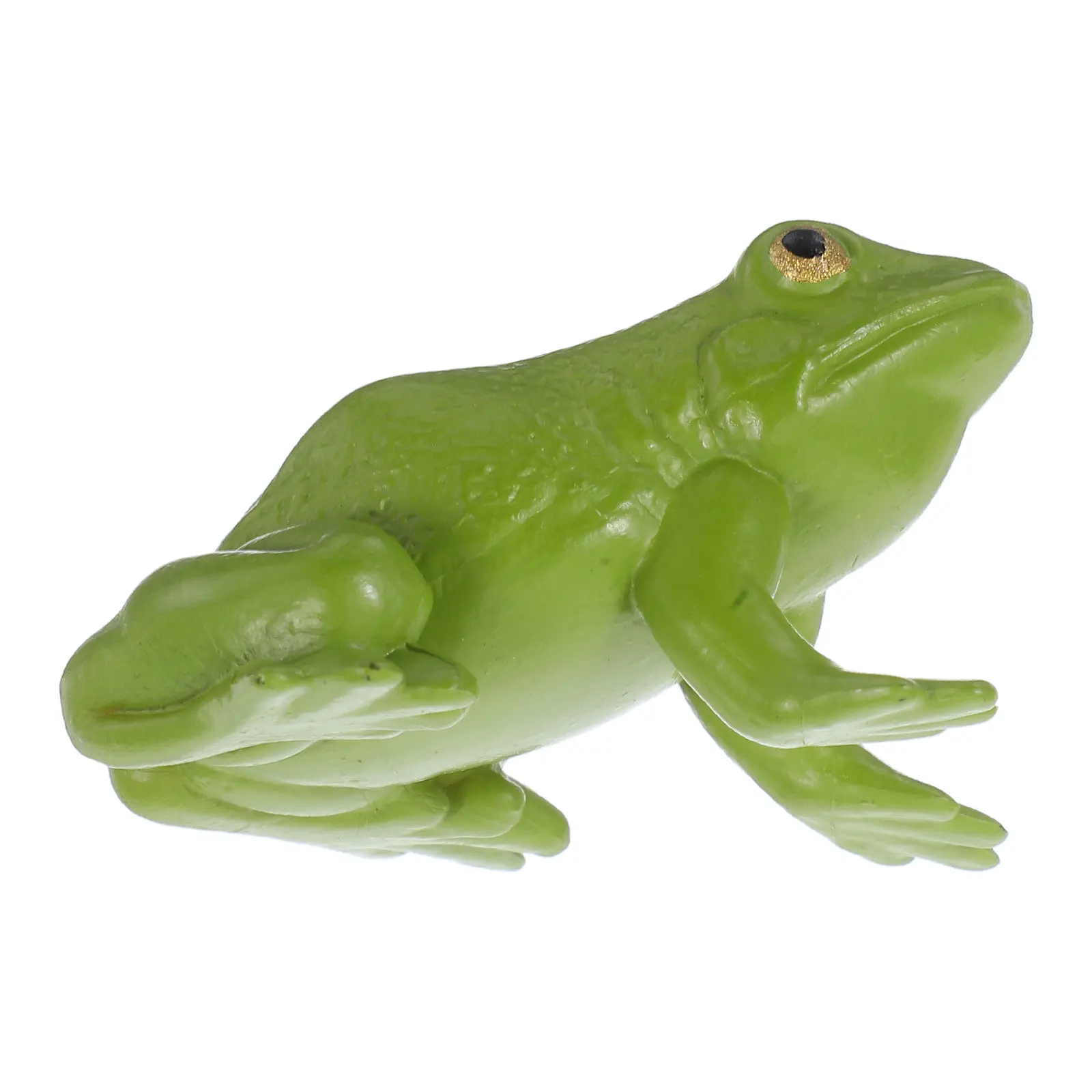 

Realistic Tree Frog PVC Small Educational Lifelike Animal Figure for Kids Classroom Home Science Education