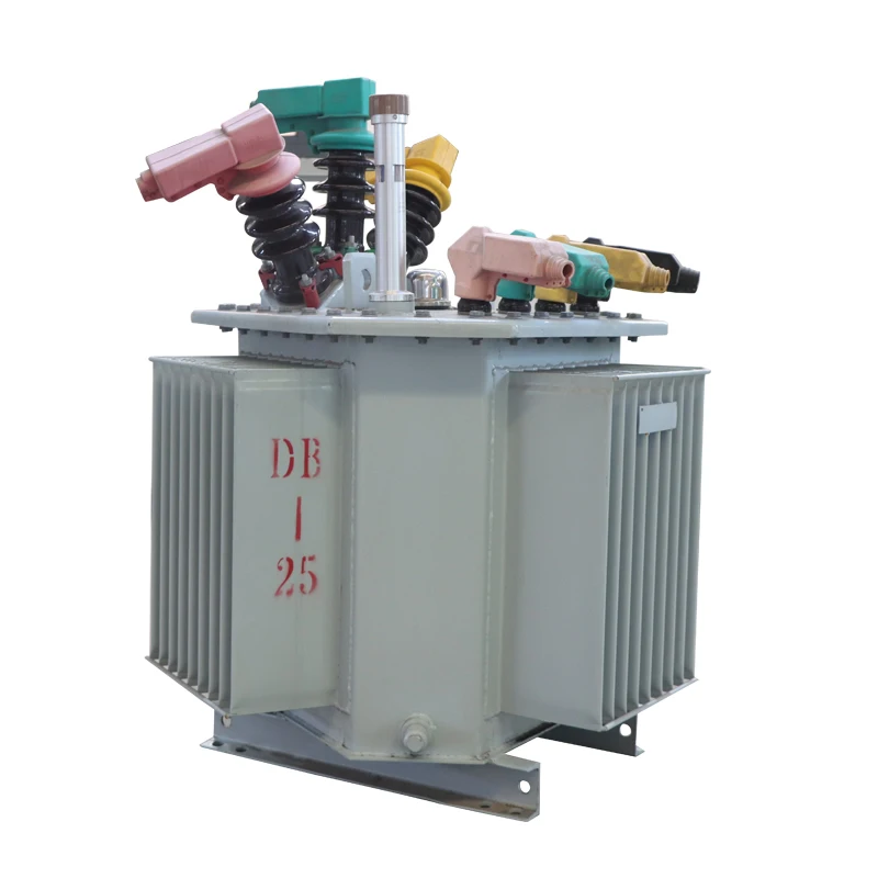 

Hot Selling 10kV Power Distribution Transformer Oil immersed Type Three Phase Electric Substation