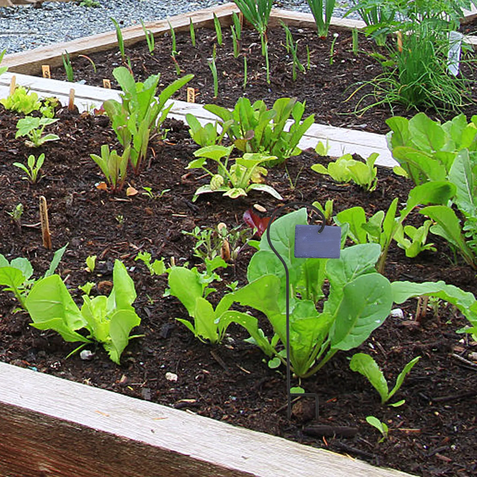 

4Pcs Metal Shepherd Hooks Outdoor Garden Hanging Hooks Yard Lantern Holders Fence Mounted Heavy Duty Yard Shepherd Hook