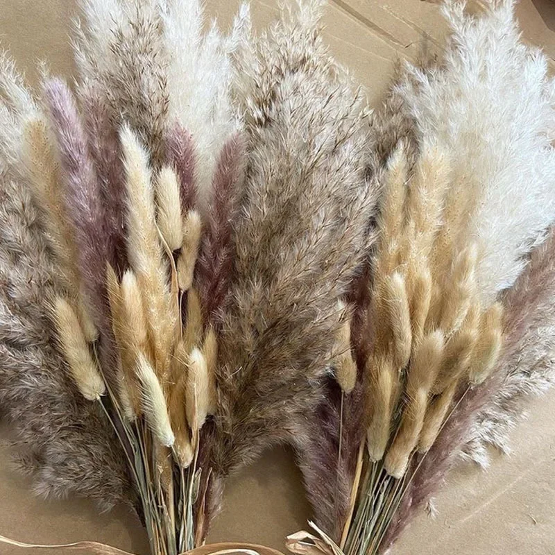 Dried Flowers Pampas Bohemian Decorative Reed DIY Rabbit Tail Grass Mixed Dried Flower Bouquet Party Wedding Decorations