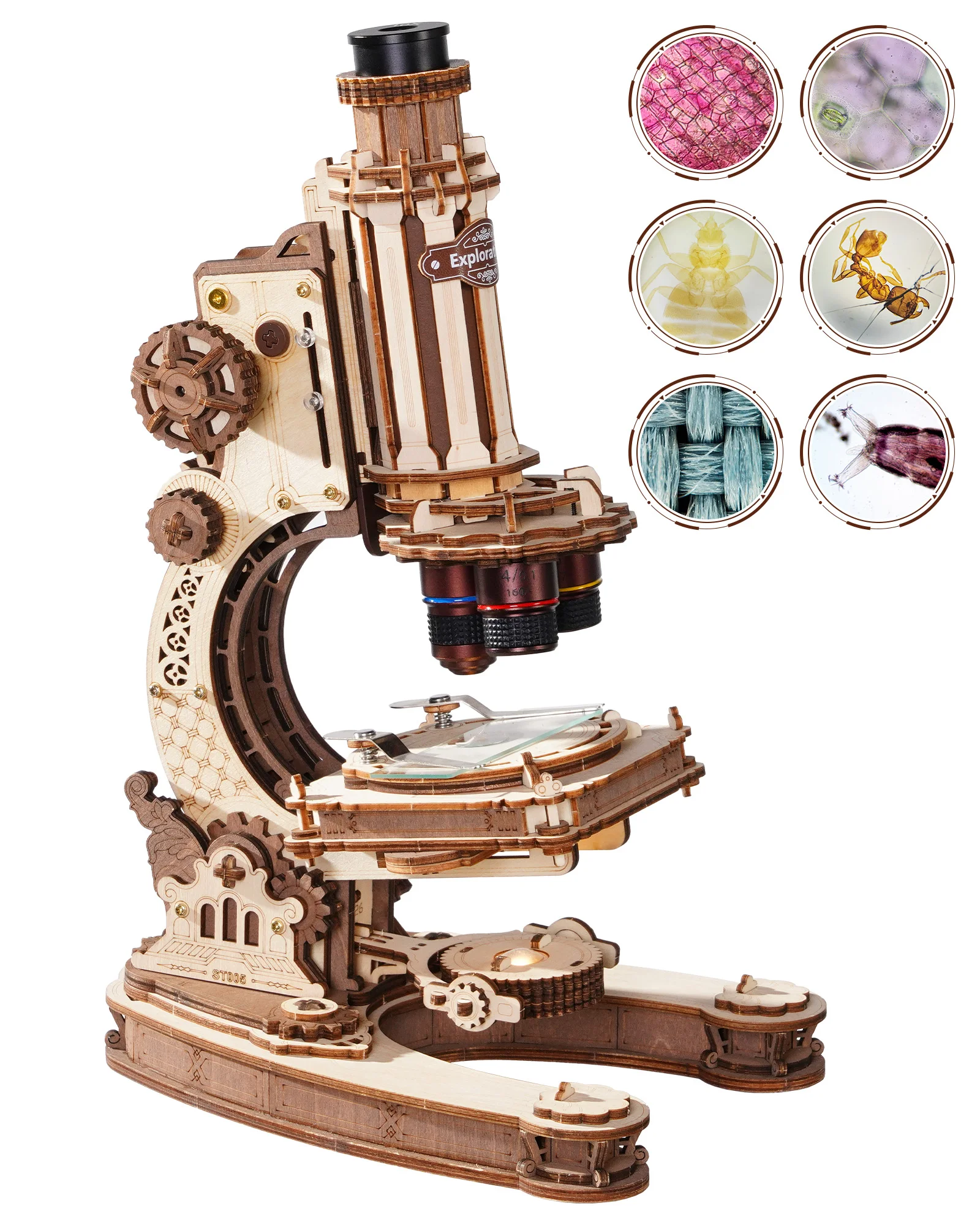 Kit de microscope DIY ROBOTIME CURIOUS DISCOVERY, puzzle en bois 3D, véritable outil scientifique, cadeau STEM pour adolescents et adultes