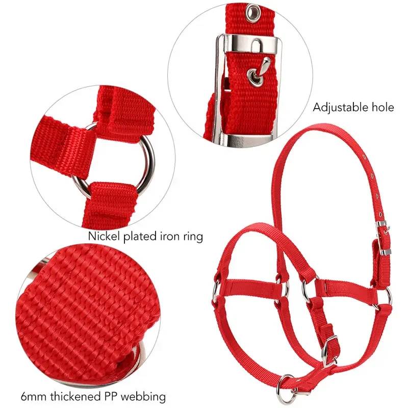 Durable Horse Head Collar Halter Thickened Horse Riding Bridle Horse Riding Equipment Halter Horse Accessories