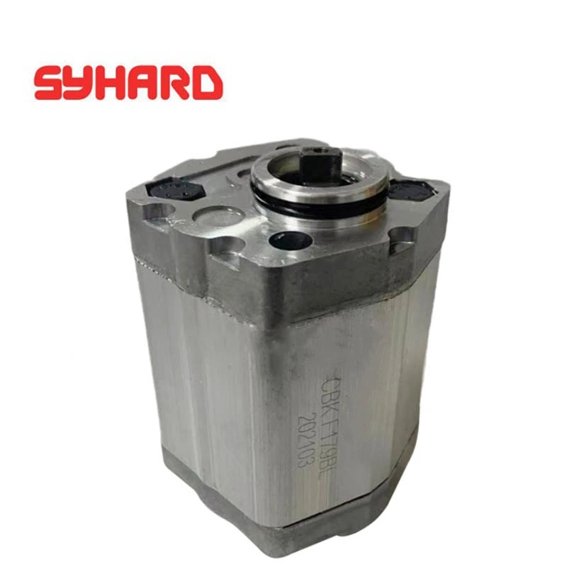 

Gear Pump CBK-F105BL CBK-F179BL CBK-F108BL CBK-F110BL CBK-F113BL CBK-F116BL CBK-F118BL CBK-F125BL CBK-F127BL CBK-F130BL CBK-F132