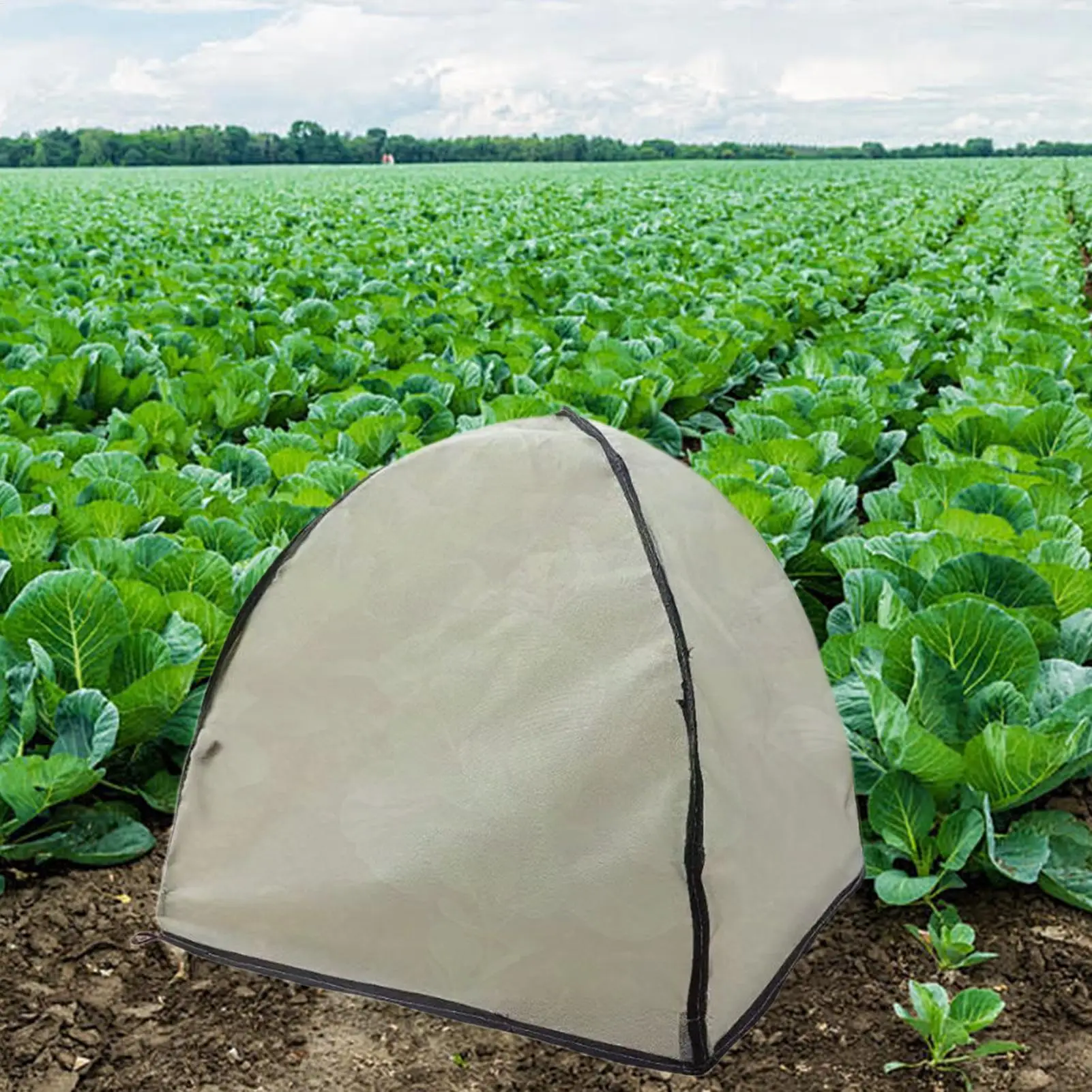 

Garden Plant Tent Garden Plant Grow Pop-Up Greenhouse Tent Freeze Prevention Shield For Outdoor Nursery Vegetable Growth Fruit