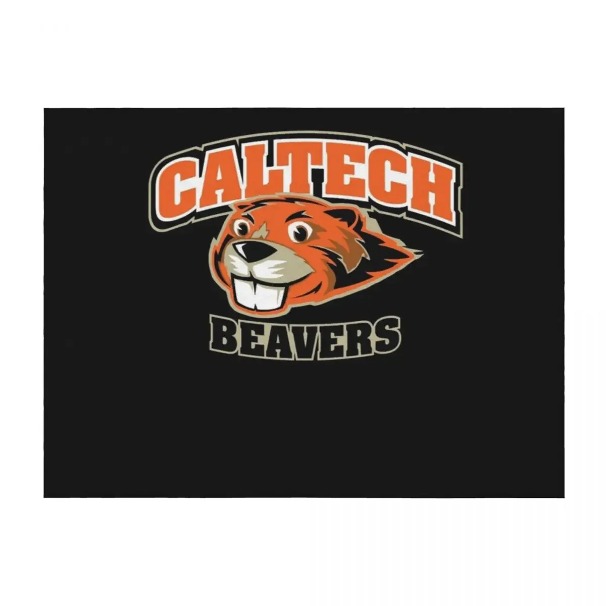 

Caltech Beavers Throw Blanket Luxury Brand Giant Sofa blankets and throws Hair Blankets