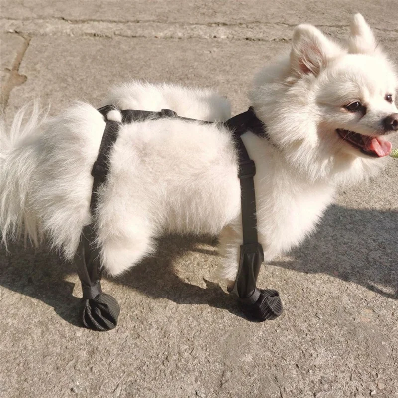 أحذية الكلب مقاوم للماء قابل للتعديل حذاء الكلب يوم المطر الحيوانات الأليفة تنفس أحذية للمشي في الهواء الطلق لينة الفرنسية البلدغ الكفوف دائم-M-Y #1