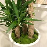 10Pcs Simulation Moss Stone Artificial Moss Rocks Ball Fake Green Plant for Home Garden Flower Pot Decoration Creative Crafts 5