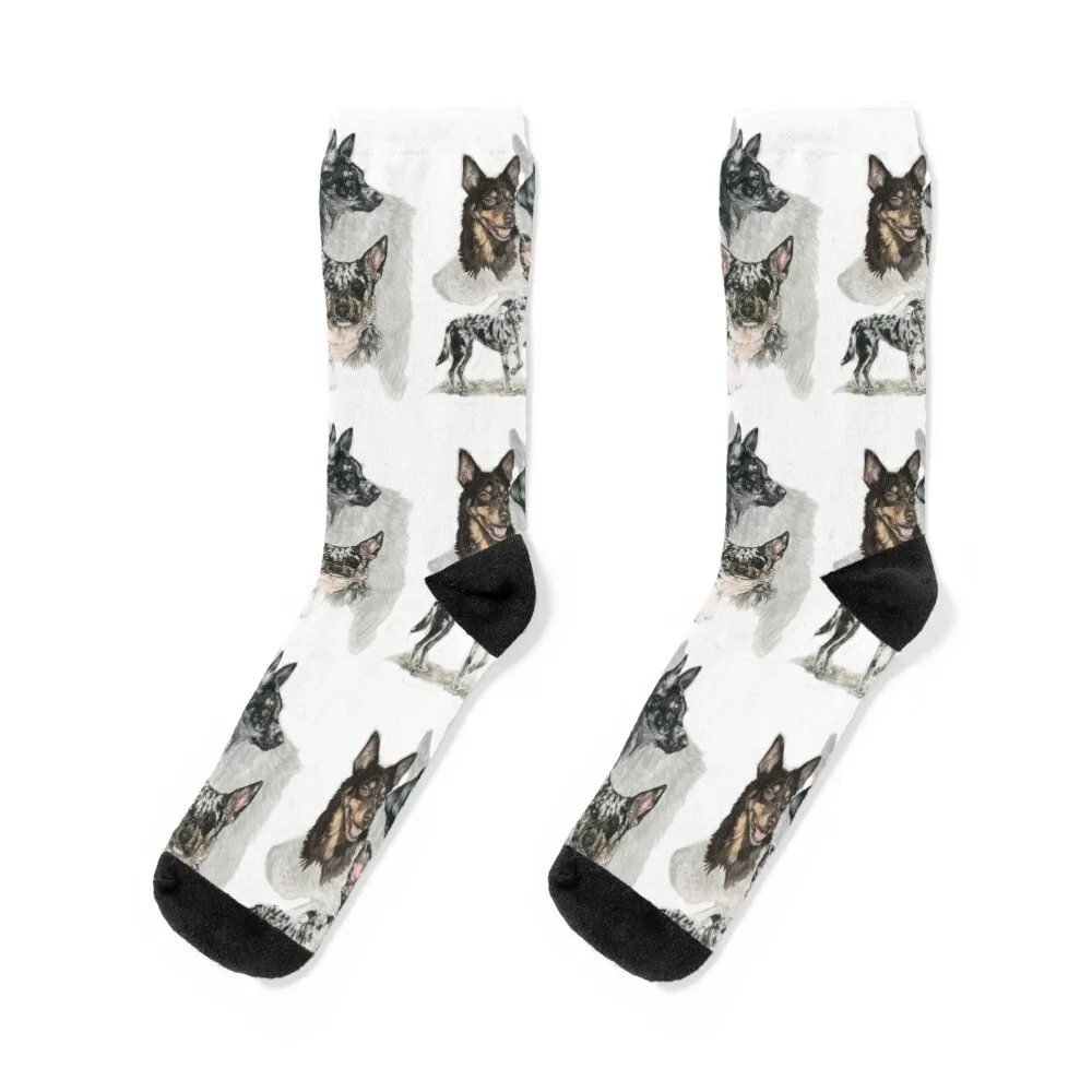 Australian Koolie Medley Socks anime halloween loose short Socks Ladies Men's