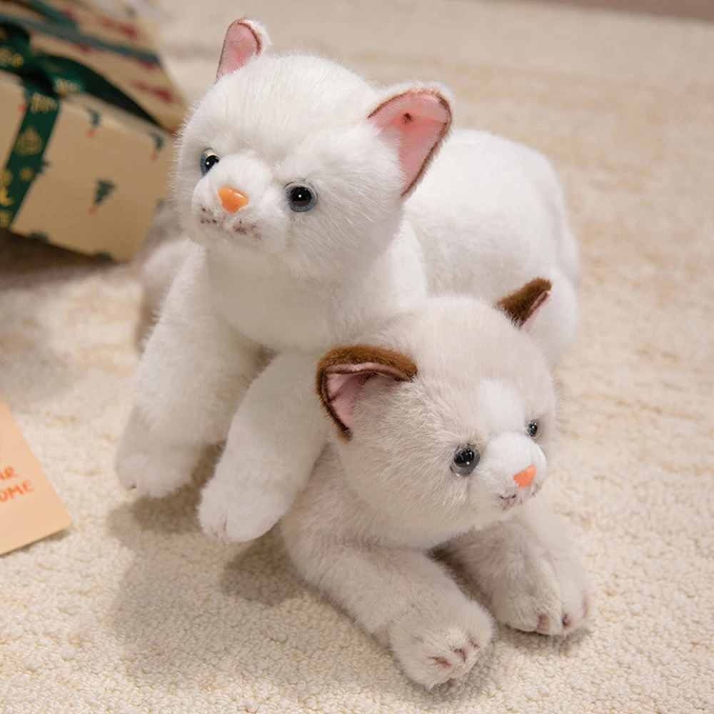 35 سنتيمتر رقيق البرتقال القط محشوة مزرعة الحيوان عناق الأسود كيتي القط ألعاب من القطيفة دسم القط دمى لينة عناق بلوشي يعرض