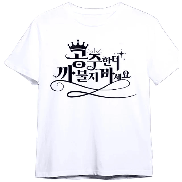 K-Girls T-Shirt “Don't Mess with Princess” Korean Slogan Graphic Tee Stylish White Top for K-Fashion Enthusiasts Y2K Tee Tops