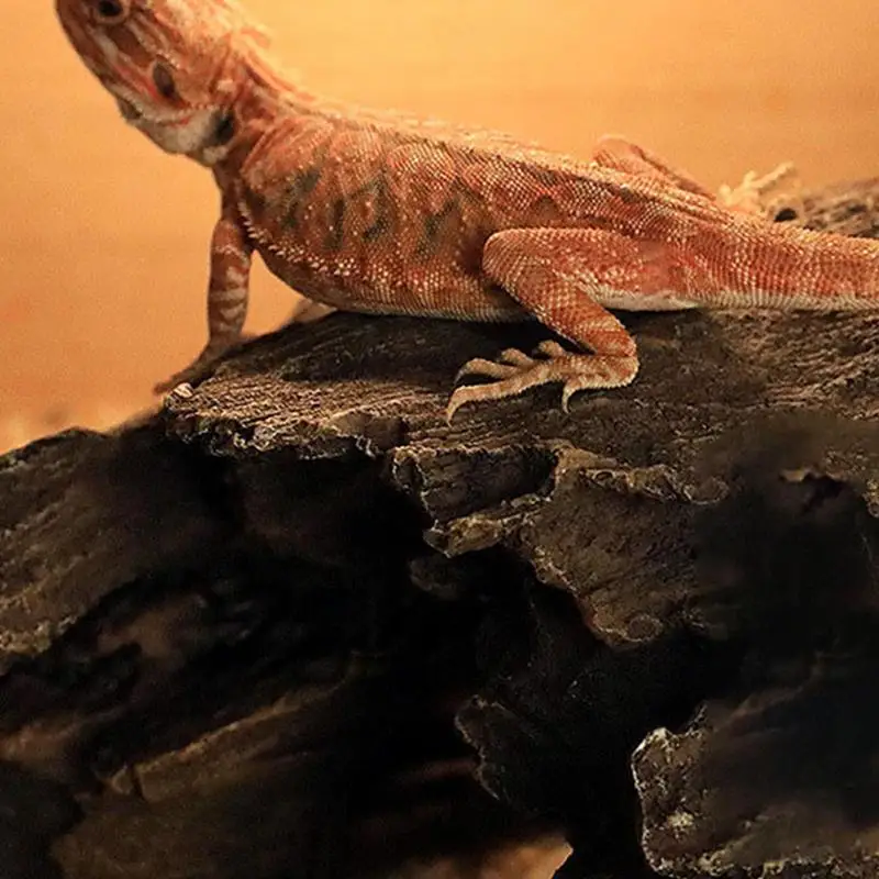 Thumbnail 4 - #16 Compare Small Animal Habitats & Cages Before You Buy