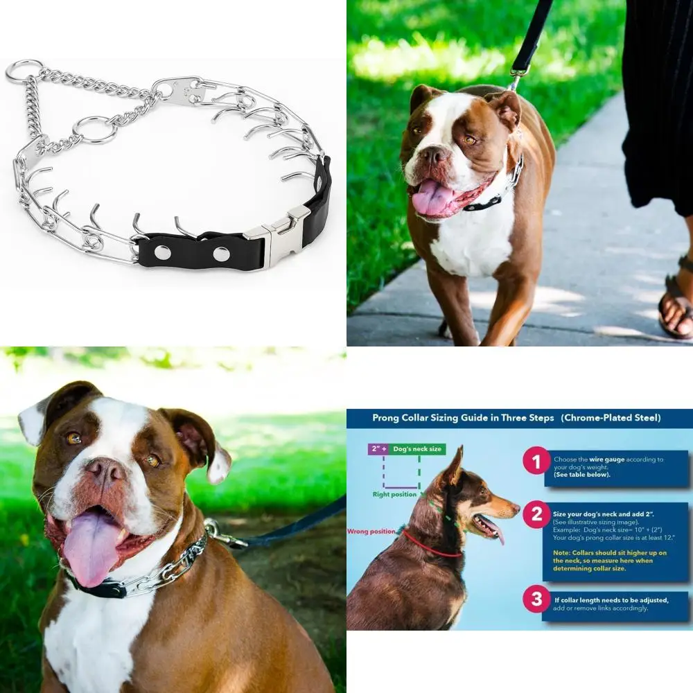 

Adjustable Prong Dog Training Collar with Quick Release Buckle for Small to Medium Dogs, 13-19 Neck Sizes, Ideal for Training an