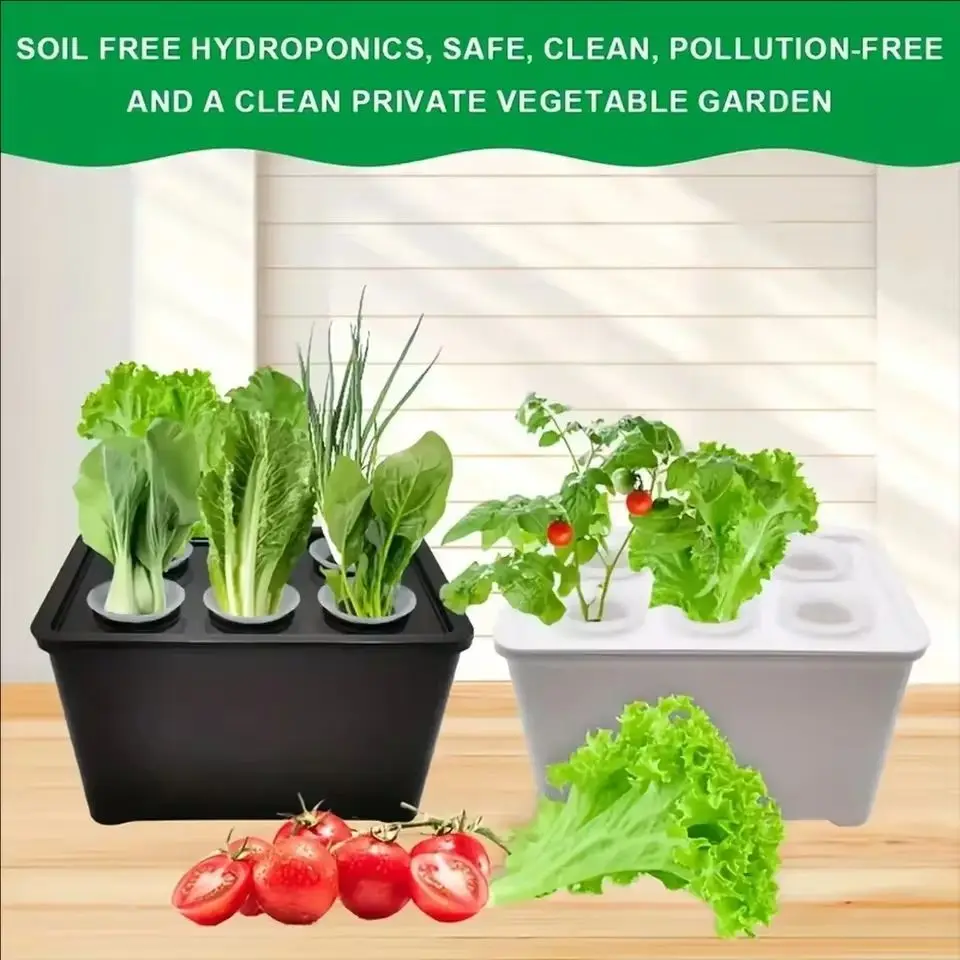 1pc Water Cultivation Seedling Box,Sunlight Hydroponic System For Planting,Indoor Pollution-Free Water Cultivation Planting