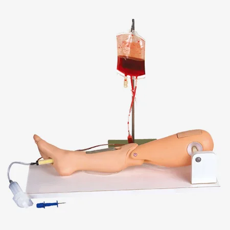 Bone Marrow Puncture and Femoral Venipuncture Training simulator, Intraosseous Infusion Leg