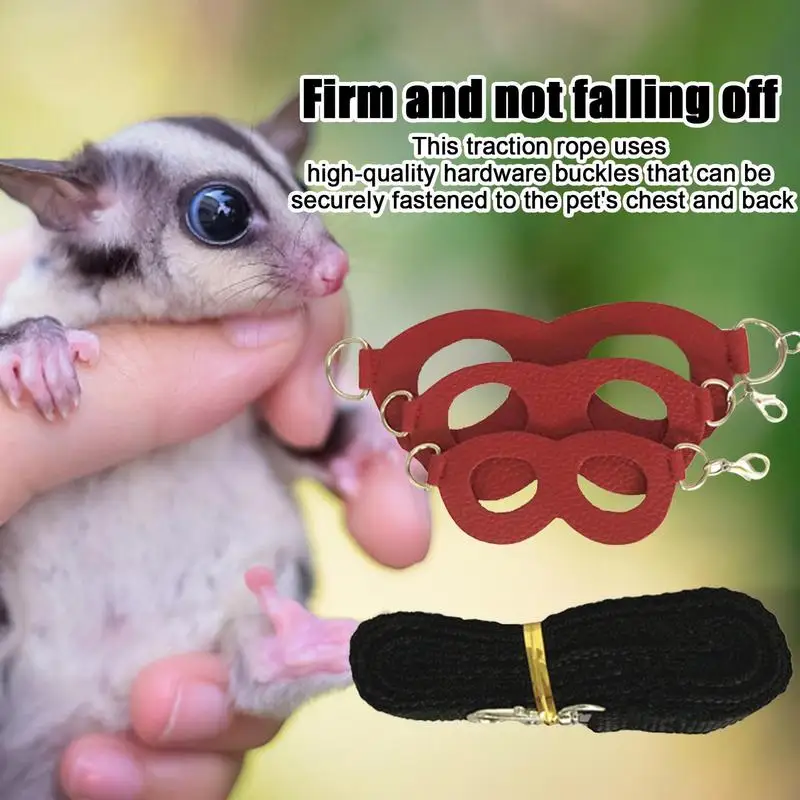 

Sugar Gliders Training Set Leading Chain Rope 3 Pieces Sugar Gliders Strap Walk Training Comfort Harness Vest